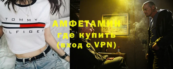 дурь Инсар