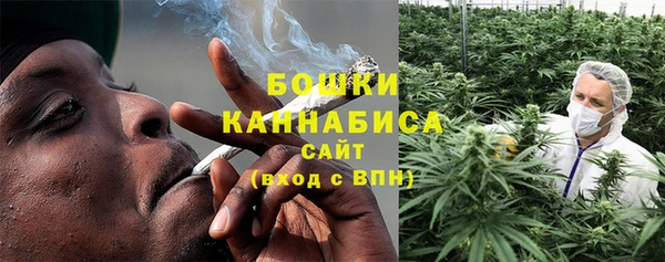 дурь Инсар