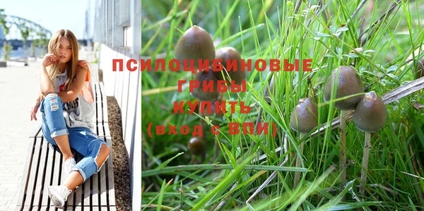 дурь Инсар