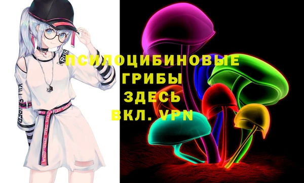 дурь Инсар