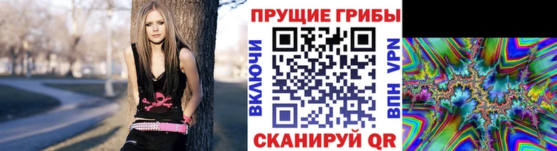 Псилоцибиновые грибы мицелий где можно купить Каргополь